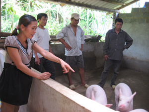 Nhóm thực hành chăn nuôi lợn thịt tại xóm Lươn – xã Thượng Tiến (Kim Bôi).